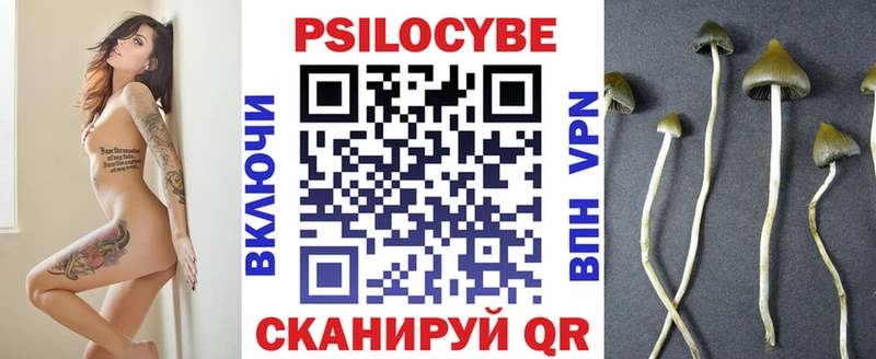 Псилоцибиновые грибы мицелий  Новый Оскол 