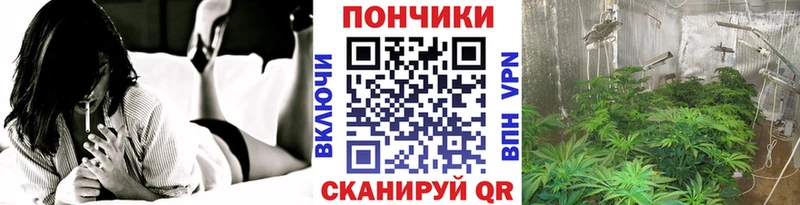 Бошки марихуана сатива  ОМГ ОМГ зеркало  Новый Оскол 